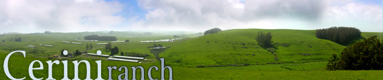 top graphic of ranch view